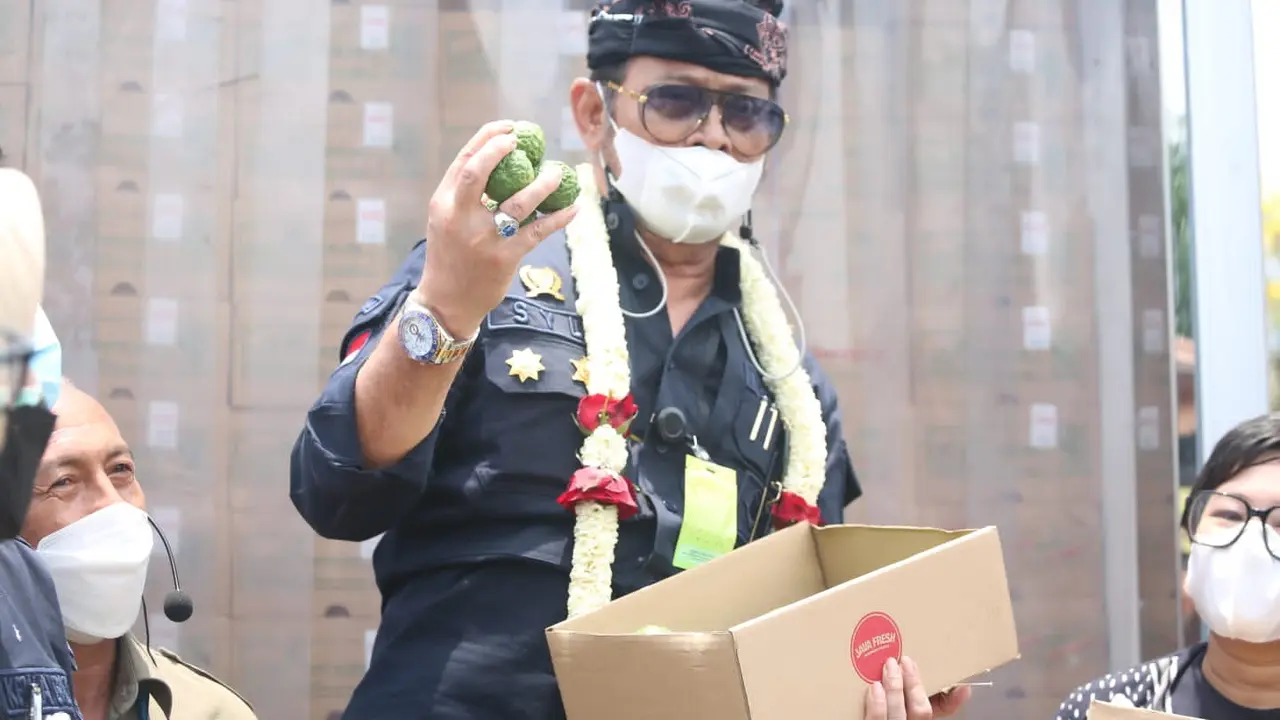Menteri Pertanian Pertanian Syahrul Yasin Limpo