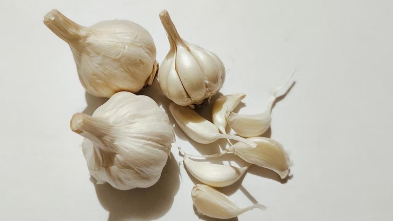 Ilustrasi Bawang Putih