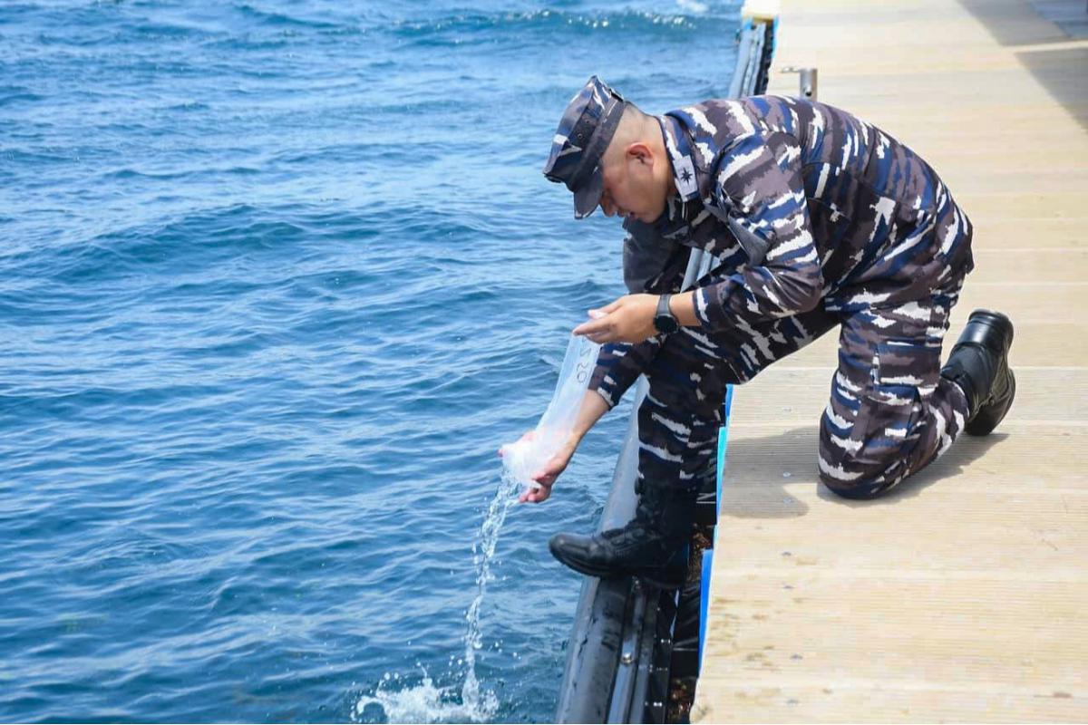 FOTO: TNI AL Gagalkan Penyelundupan 85 Ribu Benih Lobster di Banyuwangi