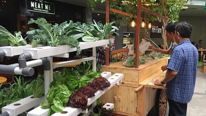 Photo: Copyright Doc Vemale.com