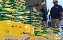 Bulog Targetkan Cadangan Beras Tembus 6 Juta Ton Akhir Mei 2026
