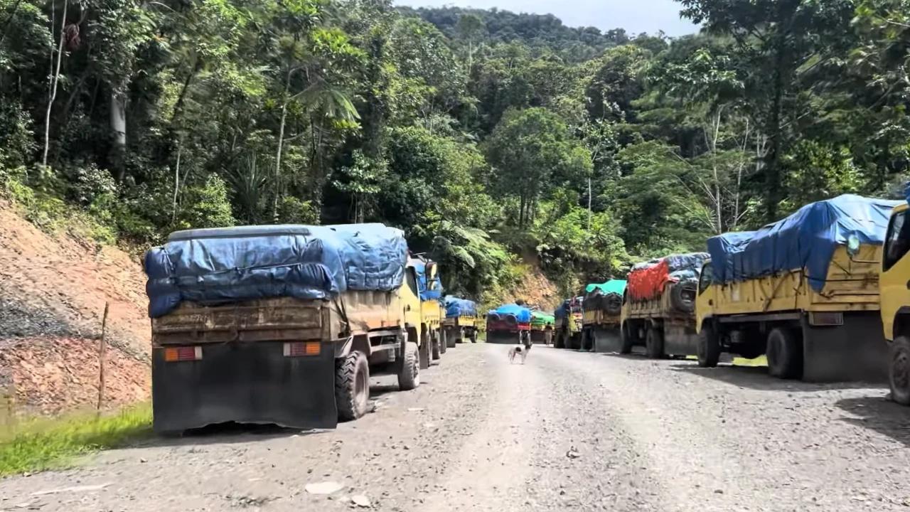 Kisah Pilu Sopir Truk di Trans Papua: 4 Bulan Terjebak Lumpur hingga Bikin 'Kampung Dadakan