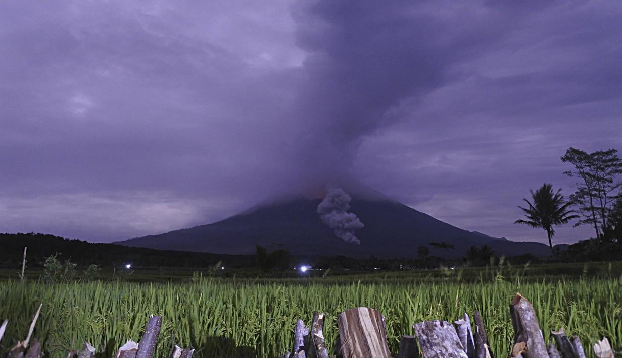  Gunung Semeru Meletus Hari Ini  2022 Gunung  Semeru  