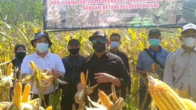 Untuk mendukung peningkatan produksi jagung nasional, Pemda Garut, Jawa Barat tengah mengembangkan pengembangan jagung berbasis korporasi.