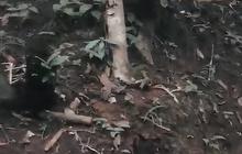Melihat Peninggalan Masa Lampau di Situs Batu Panjang Panjalu Ciamis, Konon Penuh Misteri