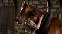 Sad animal movies that will make you want to hug your pet . (Photo: War Horse (2011) - © 2011 - DreamWorks II Distribution Co., LLC.)