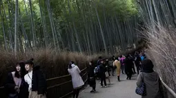 Para wisatawan berfoto saat mengunjungi Hutan Bambu Sagano di Arashiyama, Kyoto, Jepang pada 8 Desember 2018. Saat angin berhembus, deret bambu di hutan ini kerap mengeluarkan suara seperti siulan. (Behrouz MEHRI / AFP)