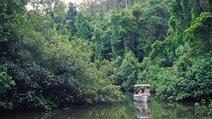 Komunitas Aborigin di Australia menawarkan lebih dari sekadar pengalaman alam.