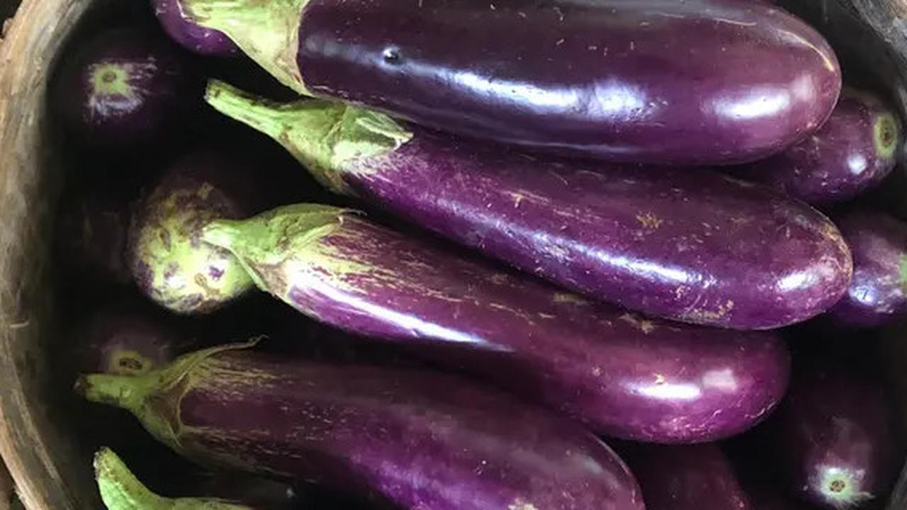 Cara Simpel Memasak Terong yang Tetap Cantik dan Menggugah Selera
