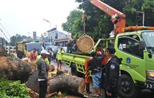 Pemprov DKI Tanggung Biaya Pemakaman Pemotor Tewas Akibat Tertimpa Pohon Tumbang di Jaksel