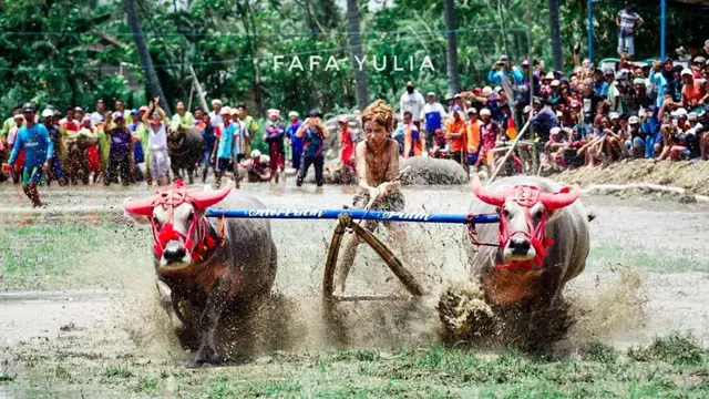 Festival Pesona Moyo 2018