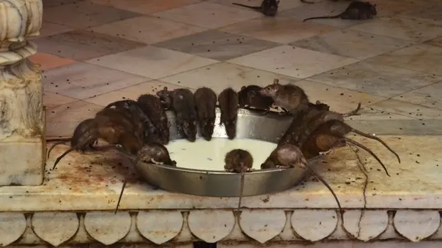 Potret 6 Tempat Aneh di India, Ada Museum Toilet Hingga Benteng Berhantu