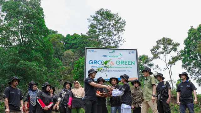 Lewat BRI menanam Grow & Green, Kelompok Tani Hutan pabangbon Pulihkan Kembali Lahan Rusak