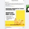 Cek Fakta: Tidak Benar Tautan Pendaftaran Bantuan Bibit Ayam Tahun Anggaran 2025