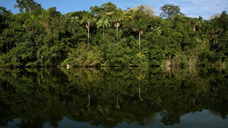 Hutan Amazon di Bolivia