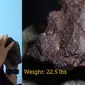 Batu Meteorit Ini Harganya Rp 1.6 Miliar Hanya Jadi Ganjal Pintu (Sumber: Youtube/Central Michigan University)