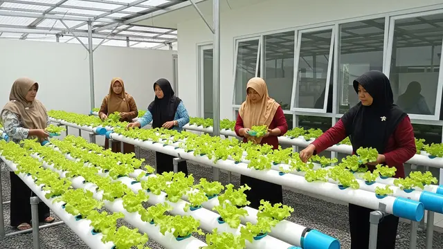 11 Ide Kebun Sayur untuk Ibu-ibu Koperasi Wanita, Mudah Diterapkan dan Sukses