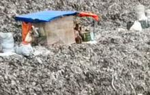 Warung Tertinggi di Atas Gunung Sampah Bantargebang, Dagangan Dipenuhi Lalat