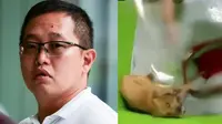 Pelatih Hewan Ini Malah Menyiksa Anjing dengan Sadis: Selamat Datang di Neraka Kawanku