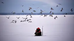 Seorang pria dikelilingi kawanan burung camar ketika memancing di tengah laut Bothnia yang membeku di Vaasa, Finlandia, Rabu (27/12). Selain suhu ekstrem, pemancing dapat melakukan aksinya di tengah laut dengan berjalan kaki. (OLIVIER MORIN / AFP)