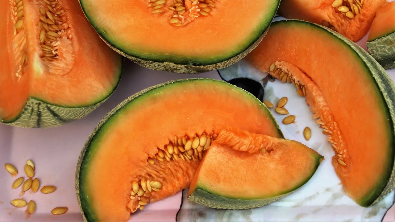 Ilustrasi buah melon