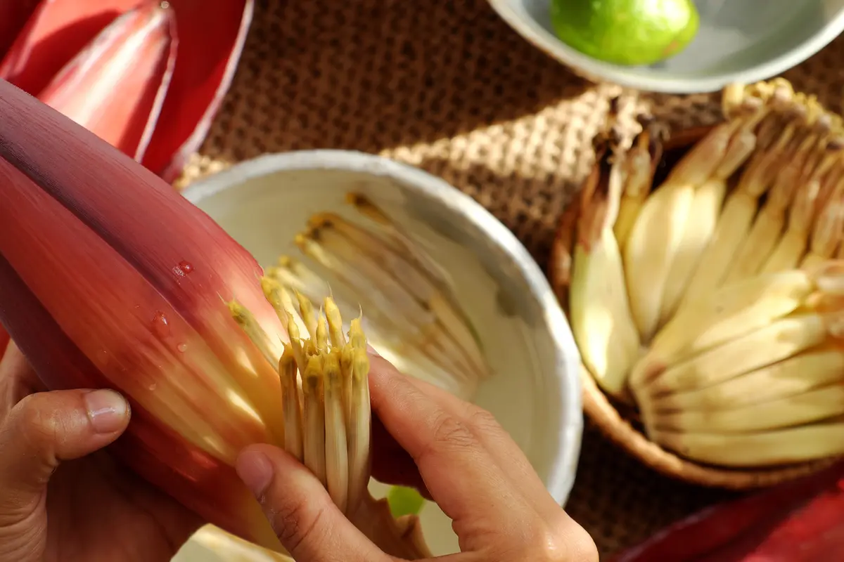 tips jantung pisang