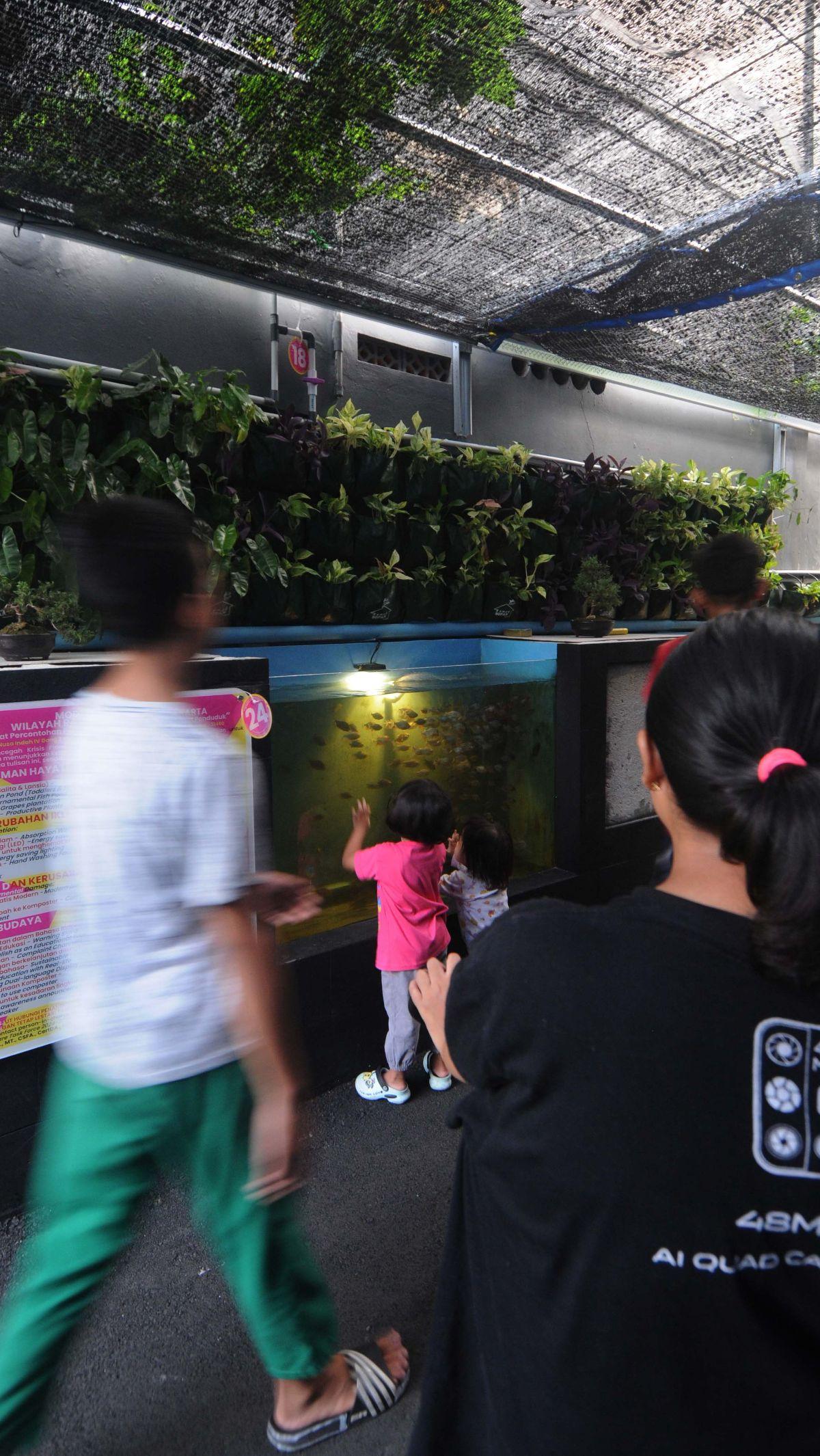 Kolam gizi sepanjang 11 meter itu terdiri dari empat kolam yang berisi ikan hias dan ikan konsumsi, seperti&nbsp;lele, nila, bawal.&nbsp;Foto: Merdeka.com/Imam Buhori<br>