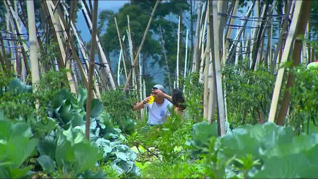 [Bintang] Rahmat Cinta