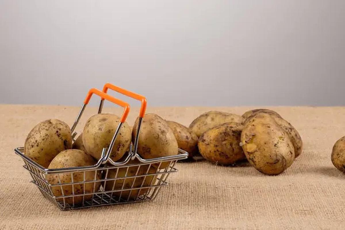 Cara Sehat Gunakan Minyak Goreng Bekas Berulang Kali untuk Memasak Tanpa Bau dan Menghitam
