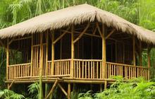 Inspirasi Rumah Bambu Minimalis, Desain Alami yang Elegan dan Ramah Lingkungan