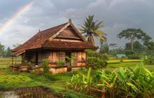 7 Gambar Rumah Sederhana Tepi Sawah yang Cantik, Estetik Bergaya Tradisional hingga Modern