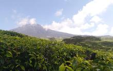 Gunung Api Dempo Pagaralam Erupsi Lagi, Semburkan Abu Sejauh 300 M