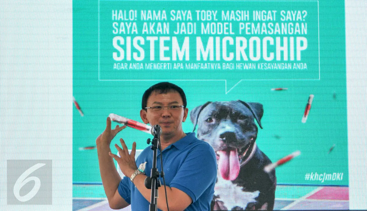 Gubernur DKI Jakarta Basuki Tjahaja Purnama memberi sambutan pada acara launching edukasi massal Jakarta Animal Aid Network (JAAN) bertema "Kesejahteraan Hewan Cermin Jakarta Maju" di Balai Kota, Minggu (7/2). (Liputan6.com/Yoppy Renato)