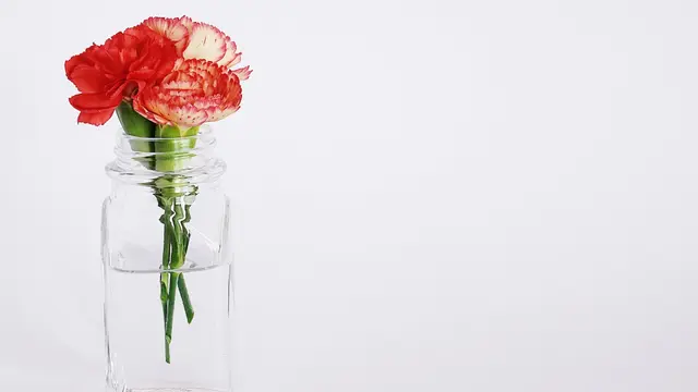 Ilustrasi aesthetic, estetis