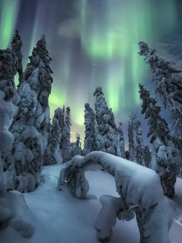 Aurora di Taman Nasional Riisitunturi.