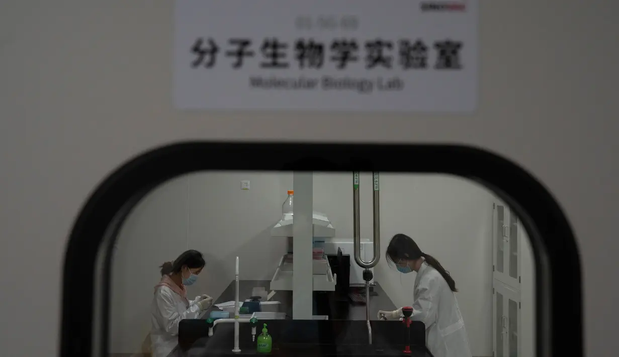 Pekerja berada di Laboratorium Biologi Molekuler di pabrik vaksin SinoVac di Beijing, Kamis (24/9/2020). Perusahaan farmasi China, Sinovac mengatakan vaksin virus corona yang dikembangkannya akan siap didistribusikan ke seluruh dunia, termasuk AS, pada awal 2021. (AP Photo/Ng Han Guan)