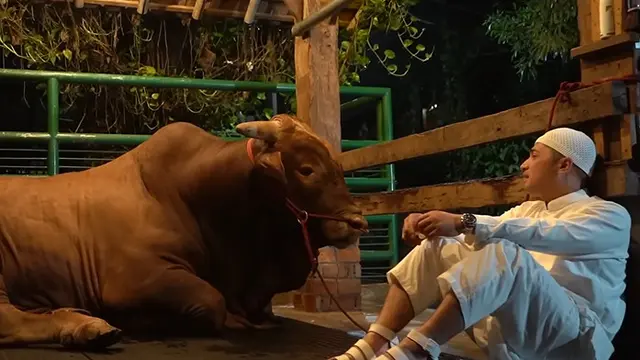 Presenter Irfan Hakim Kembali Berkurban di Hari Raya Idul Adha 2023. Seperti Tahun-Tahun Sebelumnya, Idul Adha Kali Ini Irfan Tidak Absen Memperkenalkan Sapi Kurban Terbaru yang Diberi Nama Wariso. [Instagram/irfanhakim75]