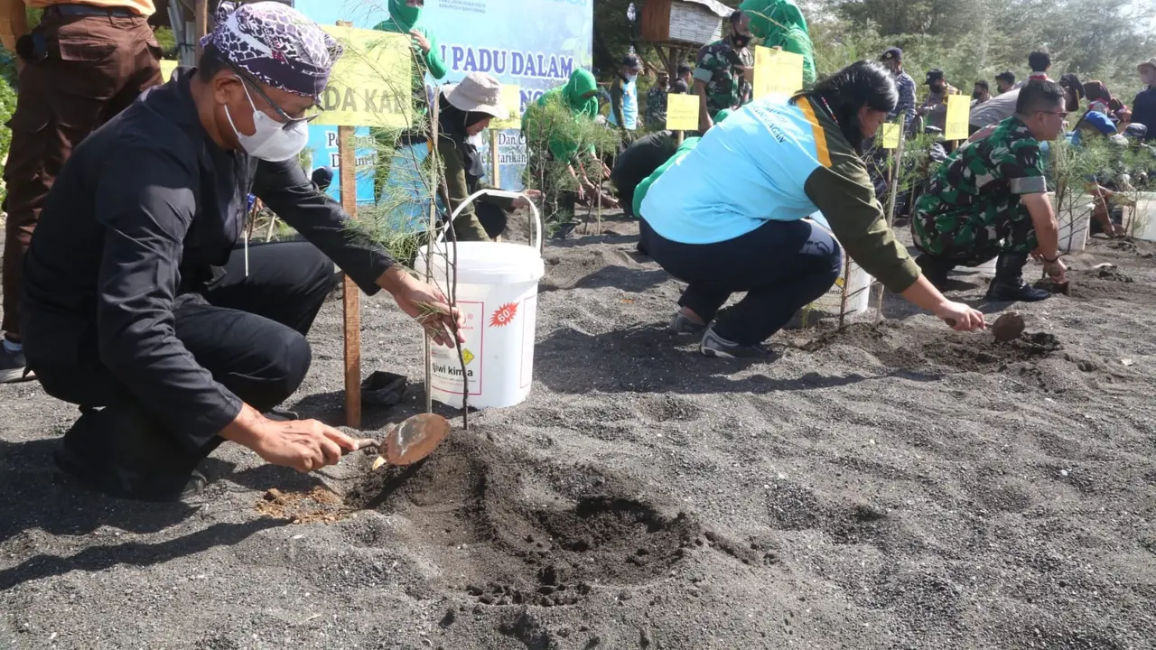 Penanaman 10 ribu pohon mangrove di Pantai Cemara Banyuwangi (Istimewa)