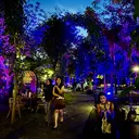 Hutan Kota Disulap Jadi Immersive Wellness Garden Pertama dan Terbesar di Jakarta