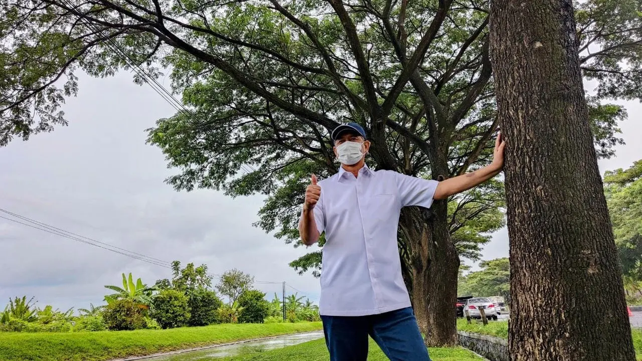 Doni Monardo Pantau Penghijauan Jalur Pantura Gunakan Pohon Trembesi.