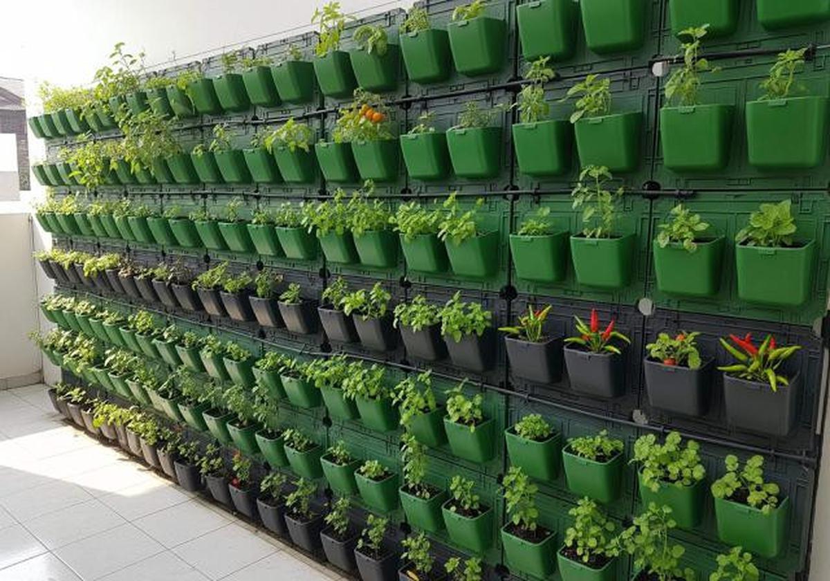 15 Model Teras Rumah Sempit Tanpa Pagar, Jadi Kebun Mini