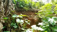 Retakan tanah muncul di tengah permukiman warga Desa Ujungbarang Kecamatan Majenang, Cilacap. (Foto: Liputan6.com/BPBD Cilacap/Muhamad Ridlo)