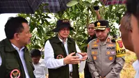 Kepala BNPT RI Komjen Pol Rycko Amelza Dahniel mengungkapkan rencana untuk memaksimalkan program deradikalisasi, khususnya dalam membangun reintegrasi dengan masyarakat sekitar melalui sektor wirausaha di bidang perkebunan. (Ist)