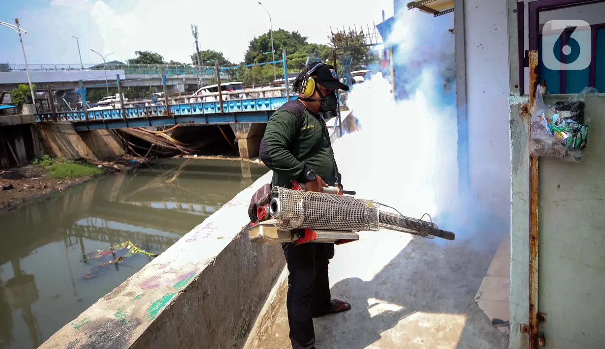 Pengasapan atau fogging dilakukan untuk mencegah penyebaran penyakit DBD. (Liputan6.com/Herman Zakharia)