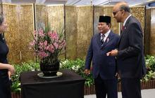 FOTO: Cantiknya Anggrek Bernama Ibu Prabowo di Singapura, Simbol Persahabatan RI dan Negeri Singa