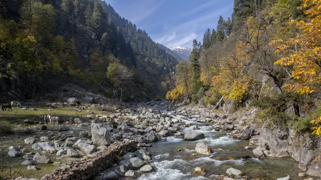 Menikmati Perjalanan Wisata dengan Kuda di Naranag Kashmir