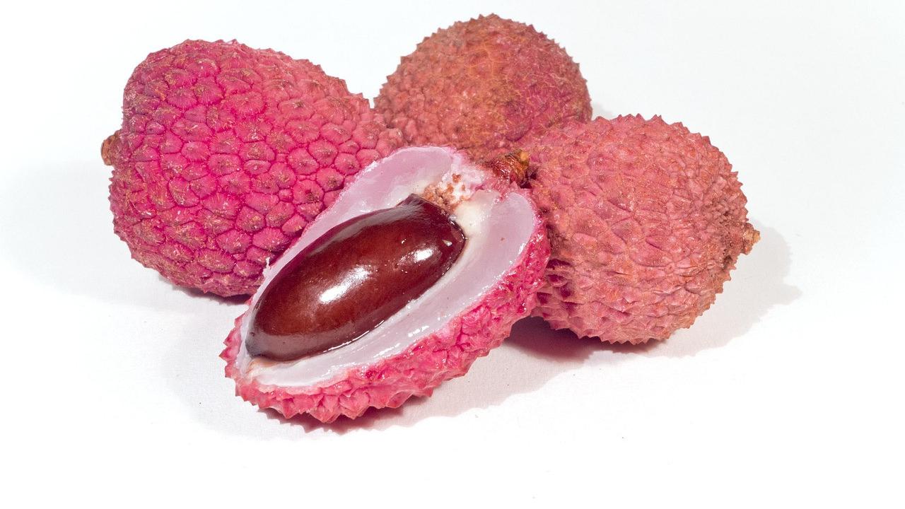 Ilustrasi Biji Buah Leci