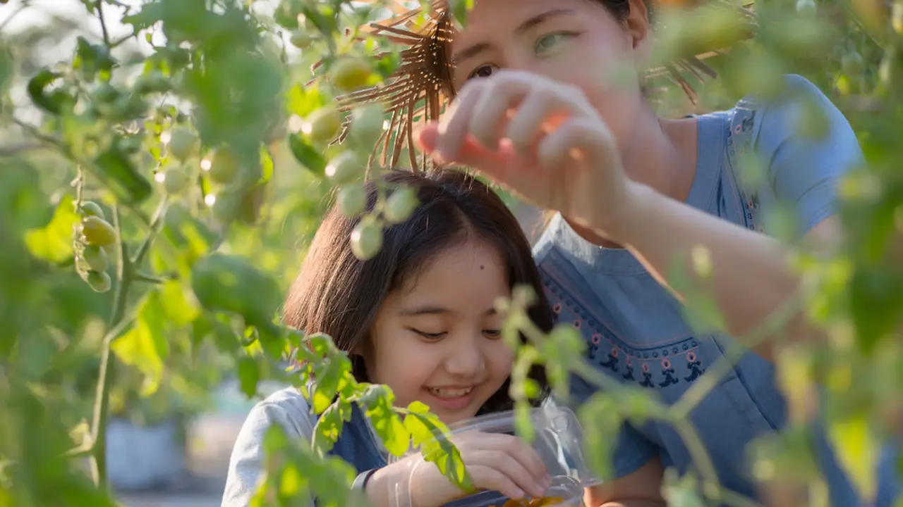 berkebun