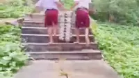 Viral Murid SD Nias Selatan Angkut Tumpukan Ompreng MBG Lewati Jalan Curam