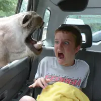 Kejutan ternyata tak selalu menyenangkan hati. Ini beberapa kejutan yang bikin prihatin versi gambar GIF.